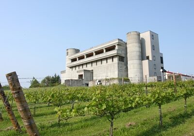 TOKACHI Tasting Barイベントメーカーズセッション vol.3～池田町ブドウ・ブドウ酒研究所（十勝ワイン）～ 7/17(金)・18(土)開催