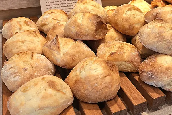 帯広市の「満寿屋商店」 