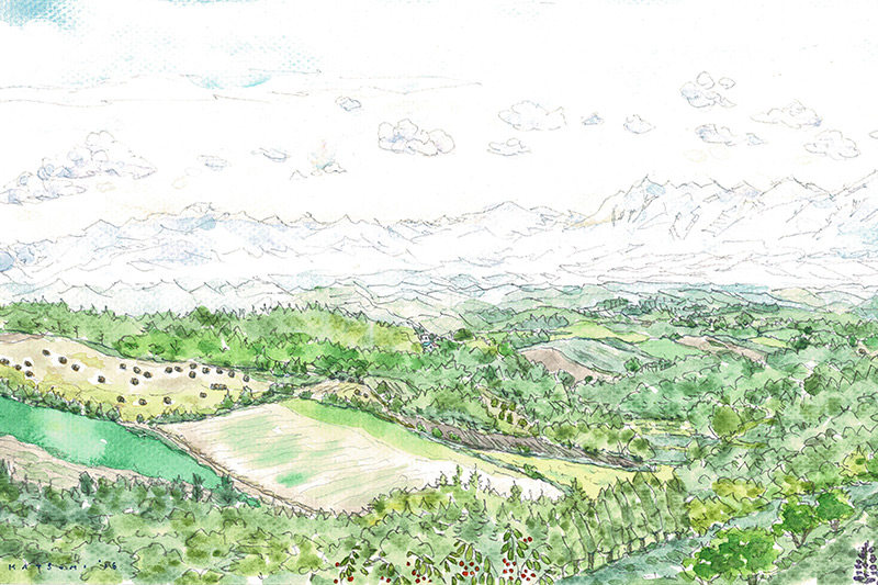 イマイカツミ　展