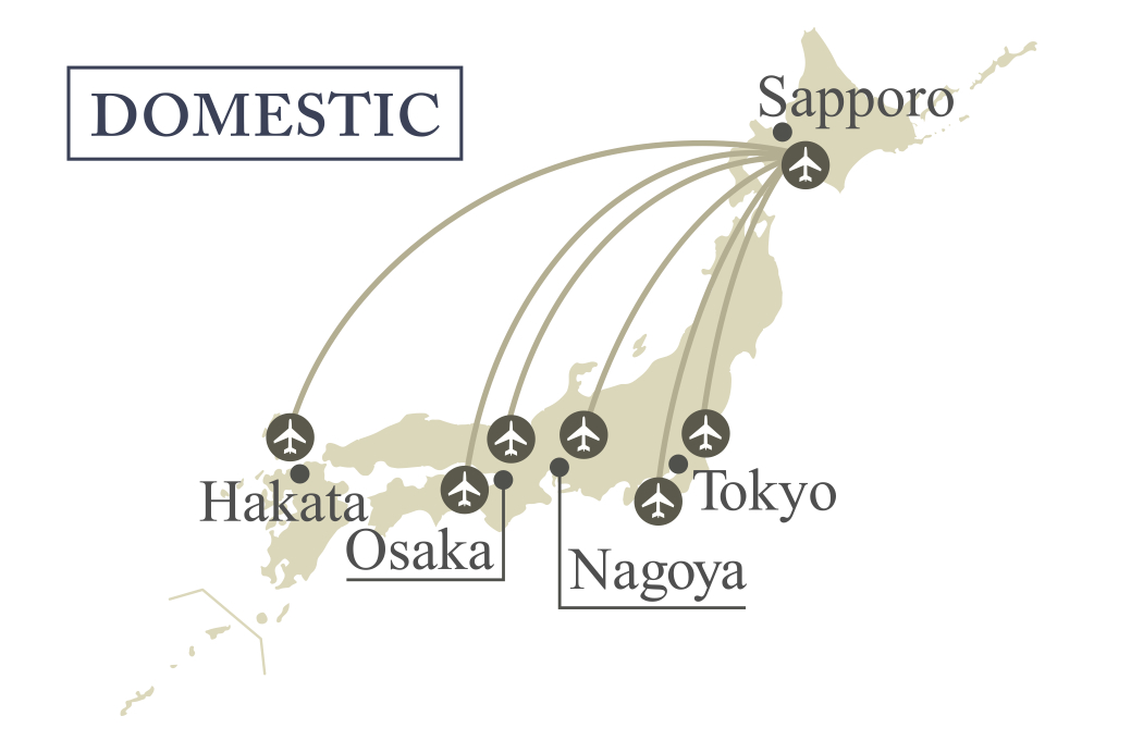 access from airport japan