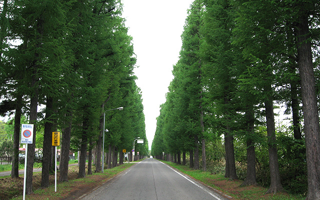 Hokkaido University 