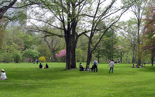 Hokkaido University Botanic Gardens