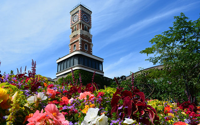 Shiroikoibito Park