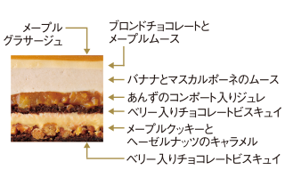 ゴールデン・メープル 断面