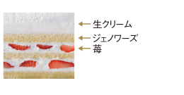 断面図