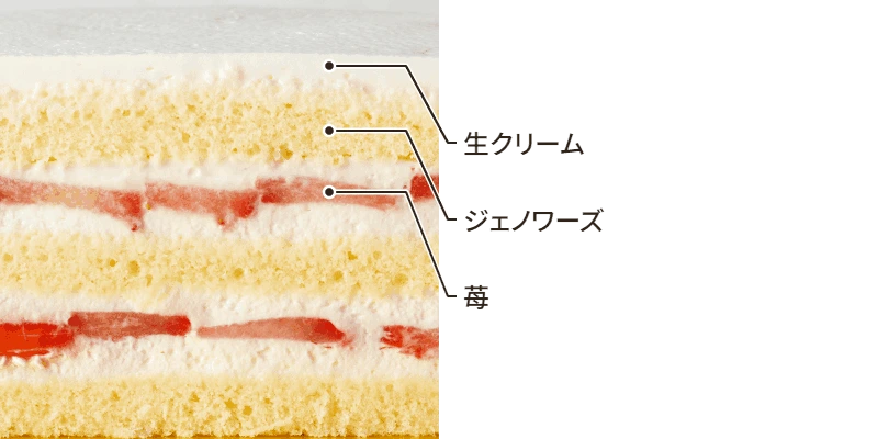 断面図 生クリーム ジェノワーズ 苺