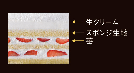 断面図