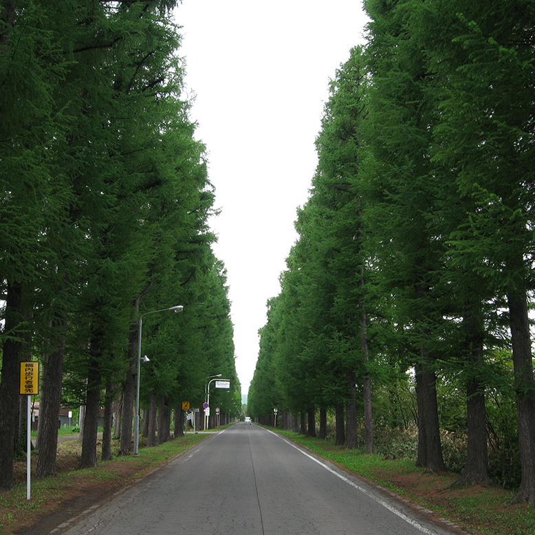 北海道大学