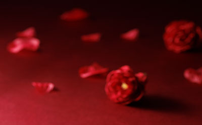 1/9～2/28Rouge & Brown Tastingパノラマブッフェ