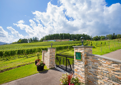 <small>ホテルで出会う土地の恵みと手しごとvol.8</small><br>ホテルプライベートワイン「NIKI Hills Winery」